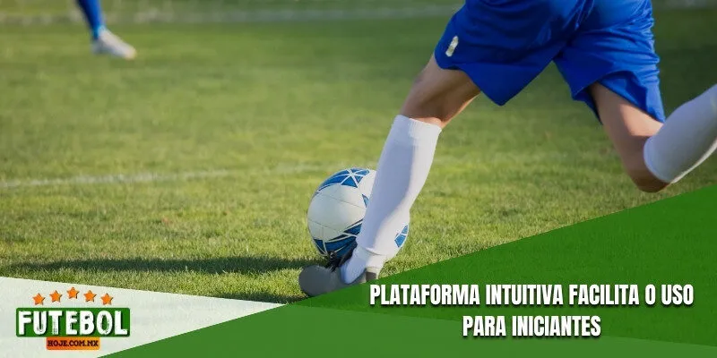 Plataforma intuitiva facilita o uso para iniciantes
