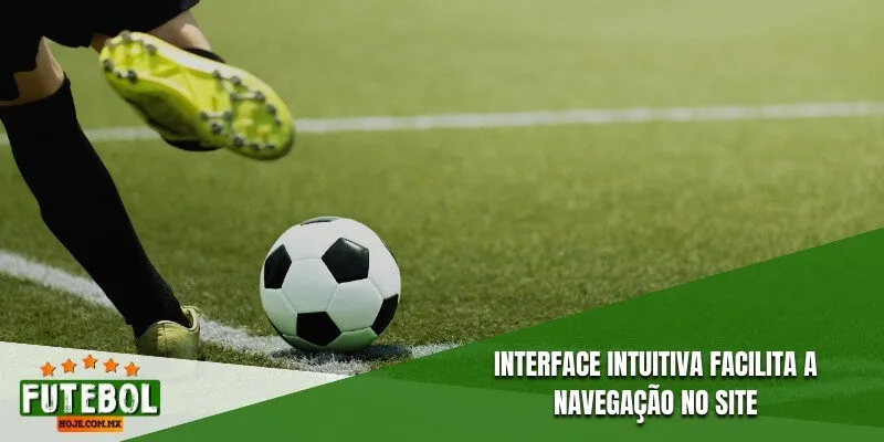 Interface e com intuitiva facilita a navegação no site